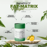 FAT METRIX - Natural Weight Loss Capsules | Help 4-5kg Monthly Weight Loss | 100% Natural Formula - Image 2